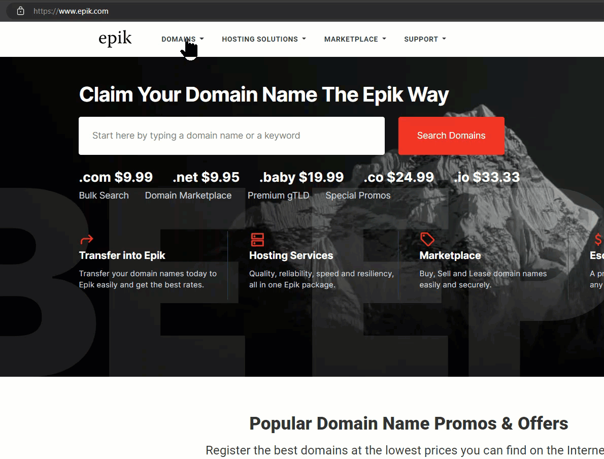 Epik Manage My Domains